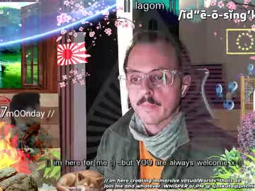 Sjoskuta Chaturbate stream image from February 03, 2025