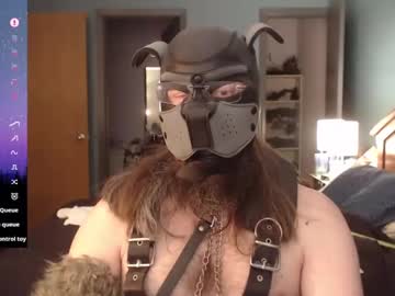 Kinkywolf87 Chaturbate stream image from February 03, 2025