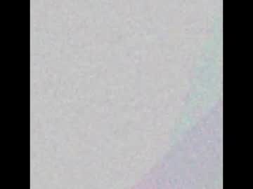 Letiziamiller4 Chaturbate stream image from February 03, 2025