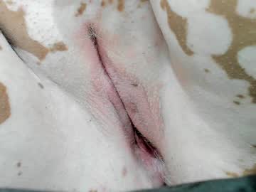 Irishotnoah Chaturbate stream image from February 04, 2025