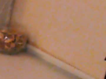 Heaven_Chloe Chaturbate stream image from February 04, 2025