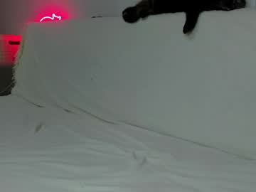 Emilyrosie Chaturbate stream image from February 04, 2025