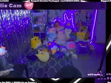Wildwylie Chaturbate stream image from February 05, 2025