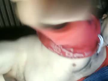 Karol36ostry Chaturbate stream image from February 05, 2025