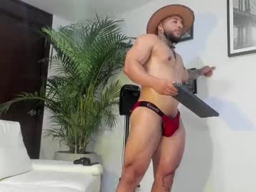 Andrewjohnson0 Chaturbate stream image from February 07, 2025