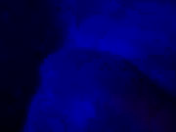 Nilzon81 Chaturbate stream image from February 08, 2025