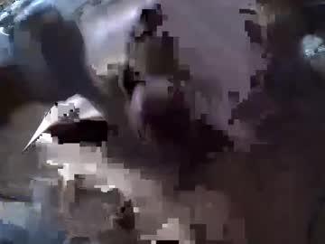 Gicobest Chaturbate stream image from February 08, 2025