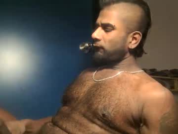 Canadianbrownbear stream image from February 10, 2025