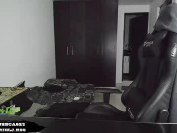 Gabrieljr99 Chaturbate stream image from February 11, 2025