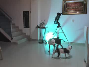 Nairobi_Latin Chaturbate stream image from February 11, 2025