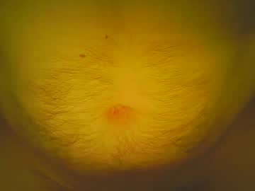 Love5pu55y Chaturbate stream image from February 11, 2025