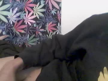 Presidentialbryana Chaturbate stream image from February 11, 2025