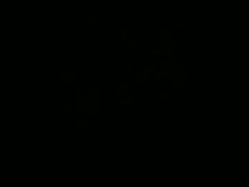 Samulatienegrande Chaturbate stream image from February 12, 2025
