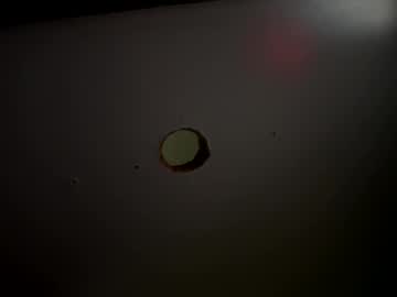 Slurpmynut Chaturbate stream image from February 12, 2025