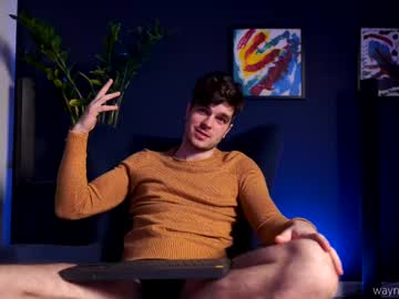 Waynenorth Chaturbate stream image from February 13, 2025