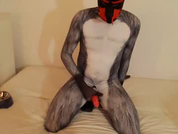 Martin_Ni Chaturbate stream image from February 14, 2025