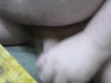 Falso_Aleatorio Chaturbate stream image from February 16, 2025