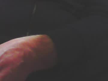Sillybear42 Chaturbate stream image from February 16, 2025