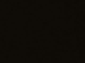Atvulpes Chaturbate stream image from February 16, 2025