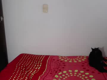 Brins_Hilton Chaturbate stream image from February 16, 2025