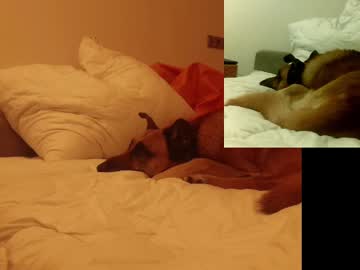Vvooyex Chaturbate stream image from February 16, 2025