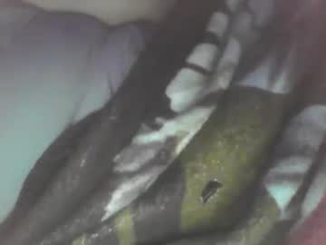 Spinnerbitch Chaturbate stream image from February 17, 2025