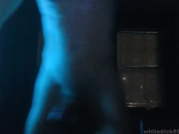Whitedick85 Chaturbate stream image from February 18, 2025