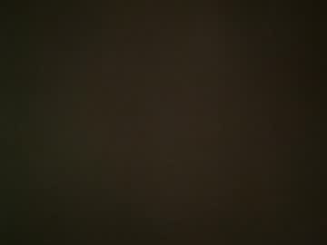 Brittanybella Chaturbate stream image from February 19, 2025