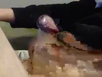 Alex_Idk Chaturbate stream image from February 19, 2025