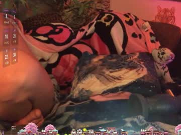 Thetwinkytiger Chaturbate stream image from February 20, 2025