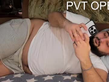 _Alan_Bear_ Chaturbate stream image from February 21, 2025