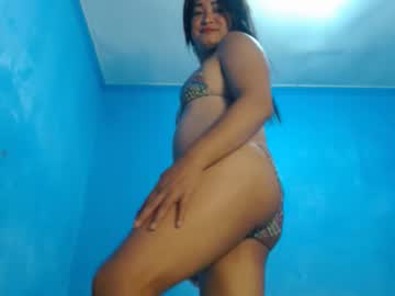 Wild_Pamela Chaturbate stream image from February 21, 2025