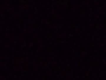 Peetapann4 Chaturbate stream image from February 22, 2025