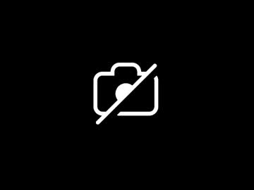 Mrprofessional11 Chaturbate stream image from February 24, 2025