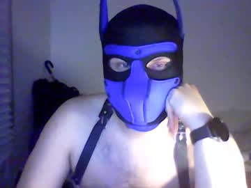 Bearsatil Chaturbate stream image from February 24, 2025