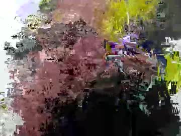 Cummwitme211 Chaturbate stream image from February 25, 2025