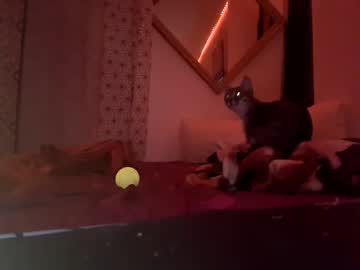 Bollykat Chaturbate stream image from February 27, 2025
