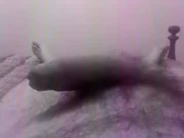 Scooty02 Chaturbate stream image from February 27, 2025