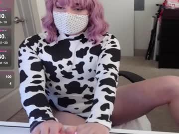 Sissysteph5 Chaturbate stream image from February 27, 2025