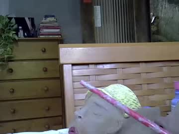 Luaepoesiabr Chaturbate stream image from February 28, 2025