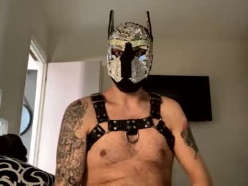 Danixwildwolf Chaturbate stream image from March 05, 2025