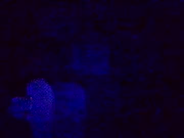 Jjg1969jjg Chaturbate stream image from March 06, 2025