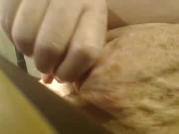 Pollafantasatica0 Chaturbate stream image from March 09, 2025