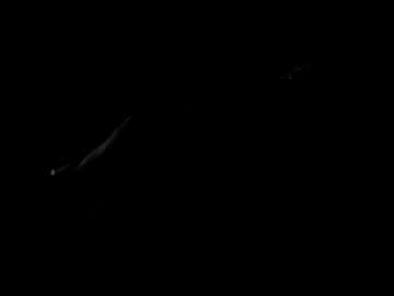 Whiskeykiss_79 Chaturbate stream image from March 10, 2025