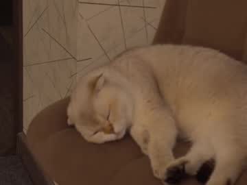 Doublecreamy Chaturbate stream image from March 10, 2025