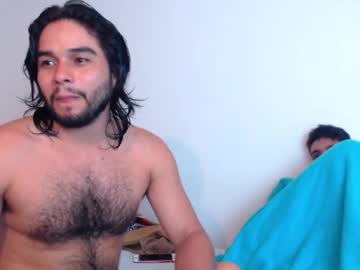Phineas_And_Fer stream image from March 13, 2025