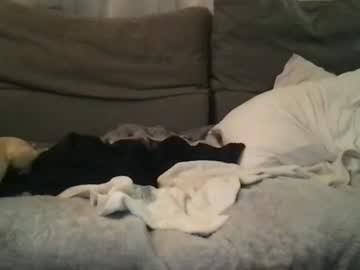 Capotain6969 Chaturbate stream image from March 16, 2025