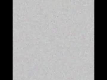 Rawpointpig41 Chaturbate stream image from March 17, 2025