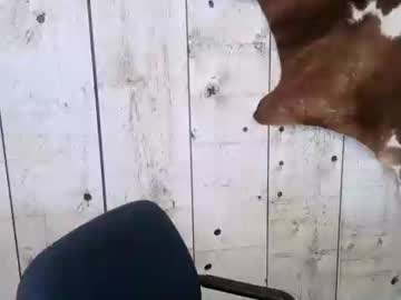 Openmindedcowboy Chaturbate stream image from March 17, 2025