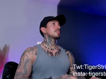 Tigerstripes_ Chaturbate stream image from March 19, 2025